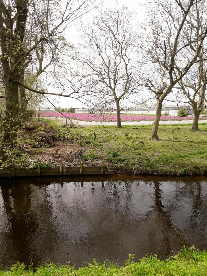 B&B De Gouwe Plek Hoogwoud Exterior foto